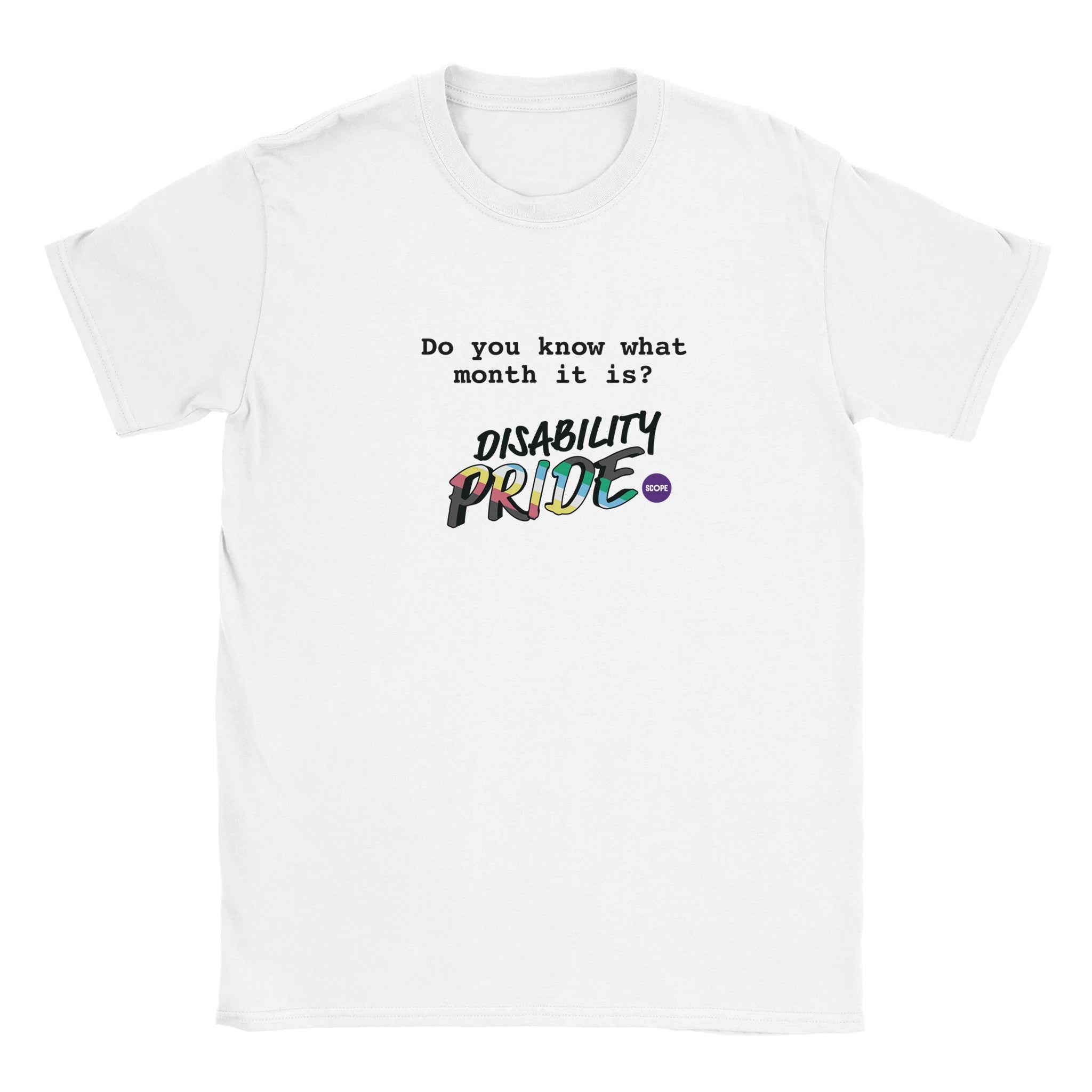 A white t-shirt with black text that reads Do you know what month it is? Disability Pride. The word Pride is filled in with the striped colours of the disability pride flag.