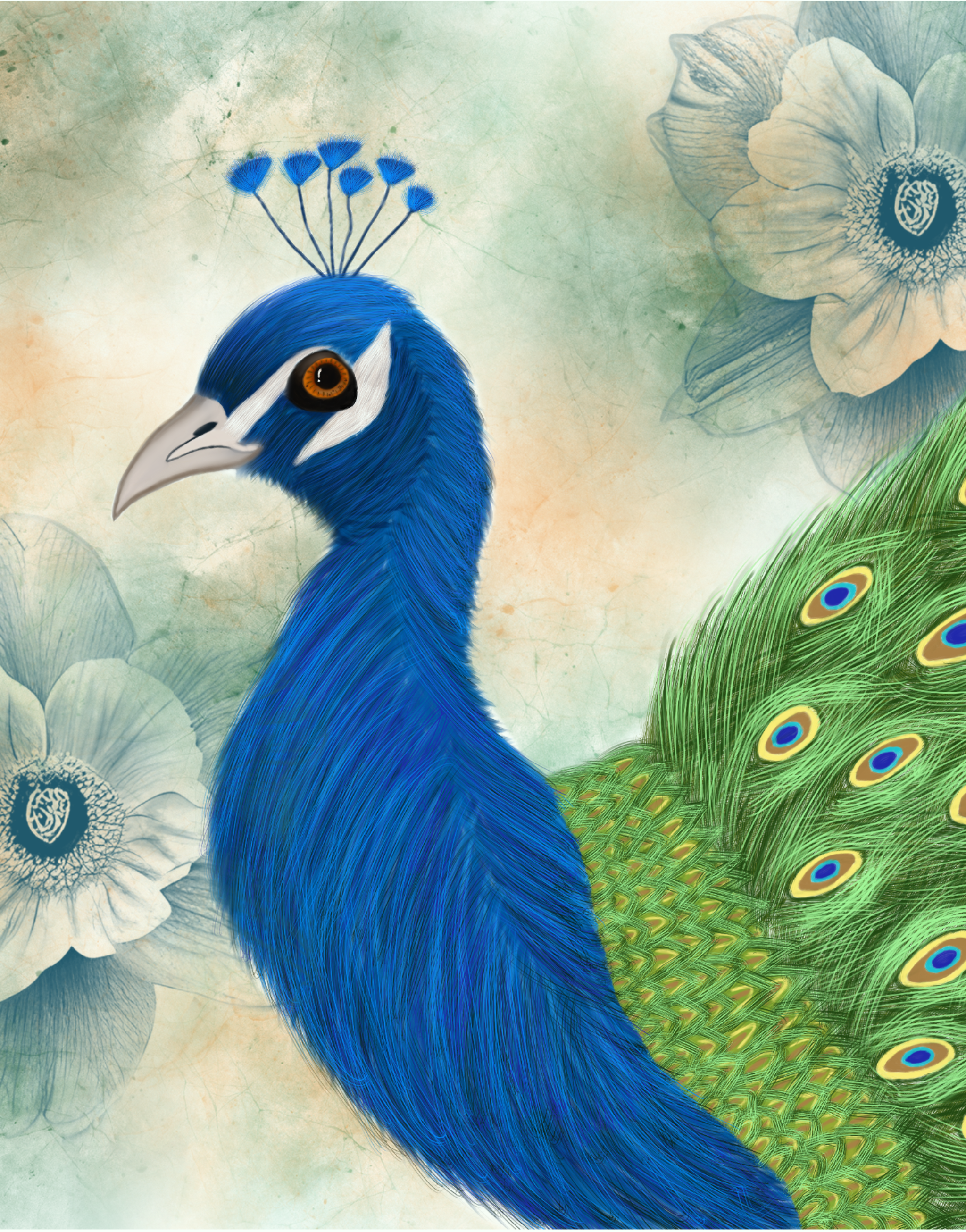 The Kent Peacock Tea Towel