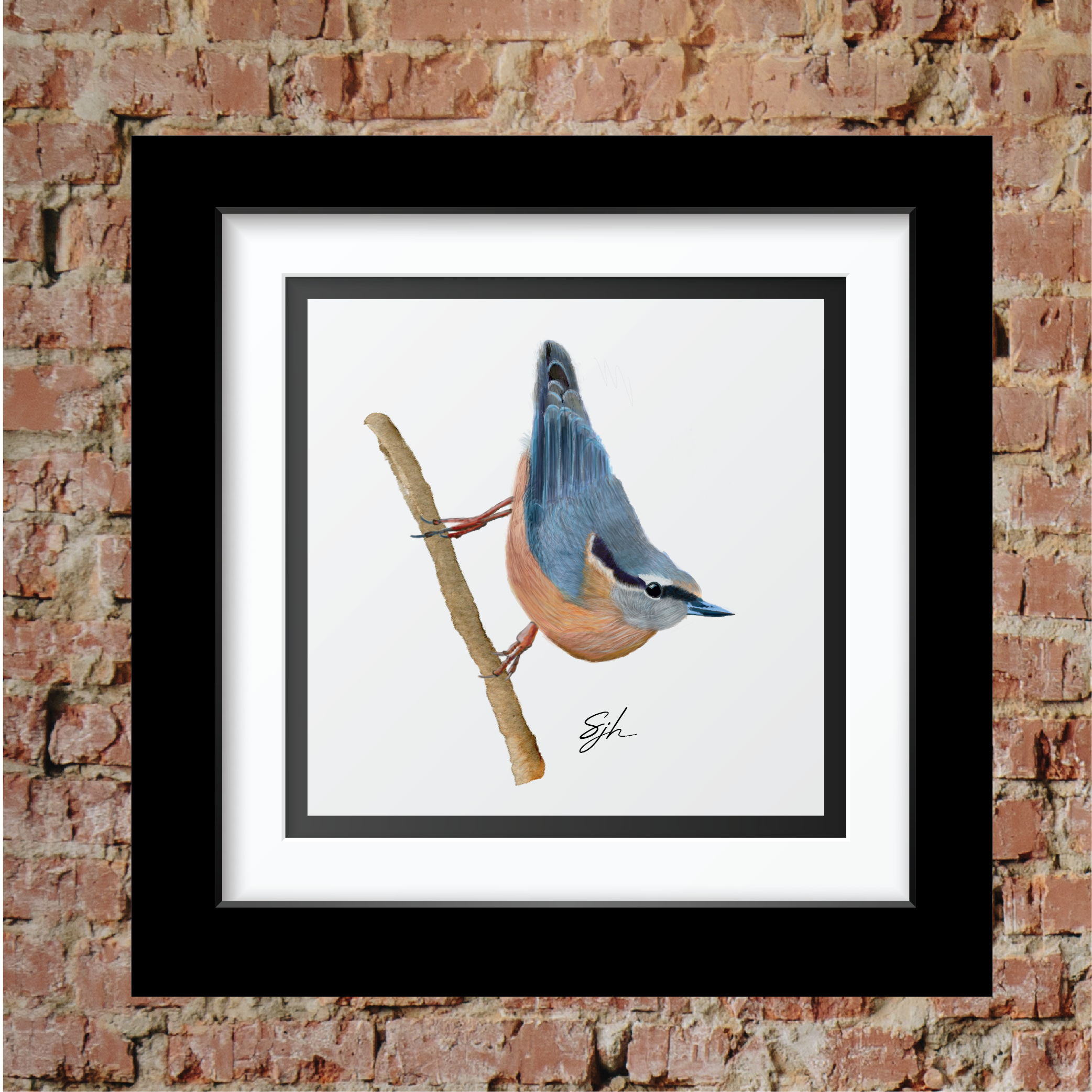 Sammy's Nuthatch Art Print