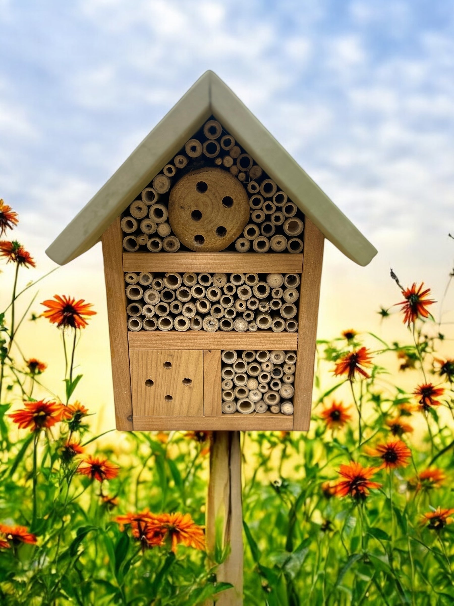 Baby Bugg Small Bug Hotel