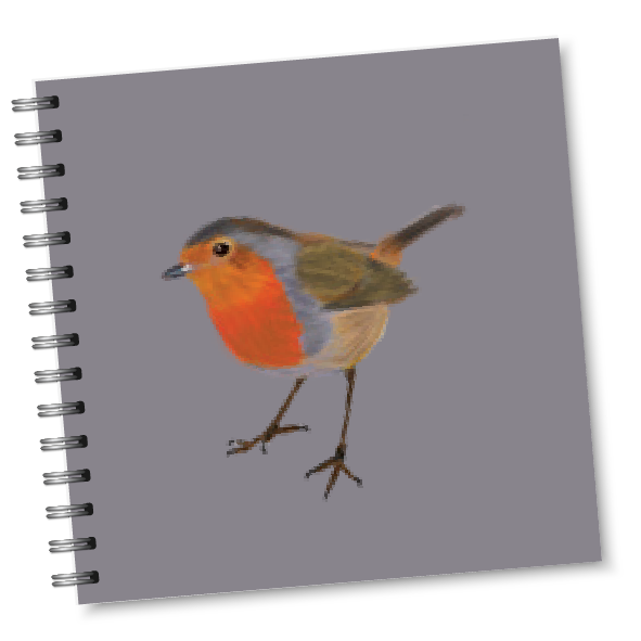 Sammy's Robin Square Notebook