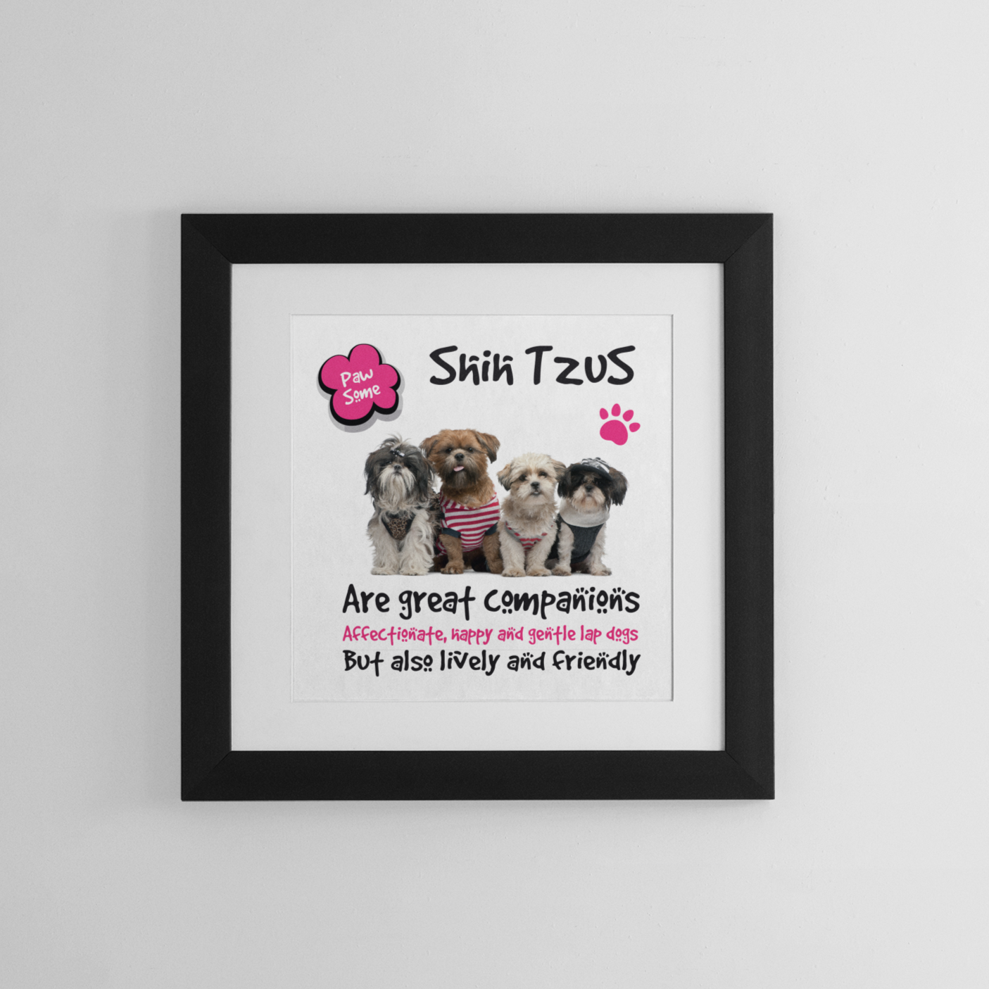 Shih-Tzu Dog Breed Framed Art Print