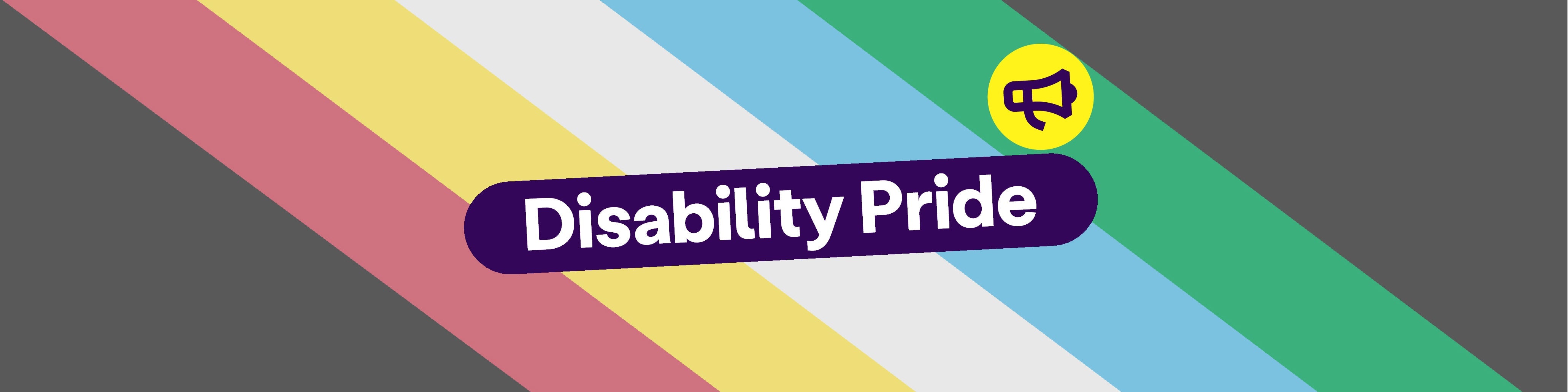A banner featuring the disability pride flag - diagonal stripes of red, yellow, white, blue and green. The text reads: "Disability Pride".