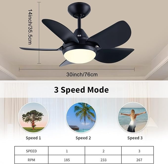 Newday 30 Inch Bedroom Ceiling Fan with Light and Remote Control, Small Black