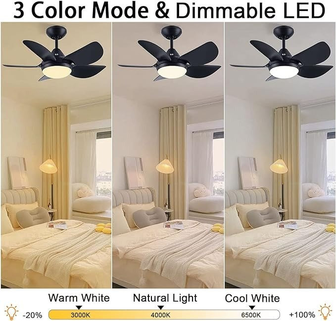 Newday 30 Inch Bedroom Ceiling Fan with Light and Remote Control, Small Black