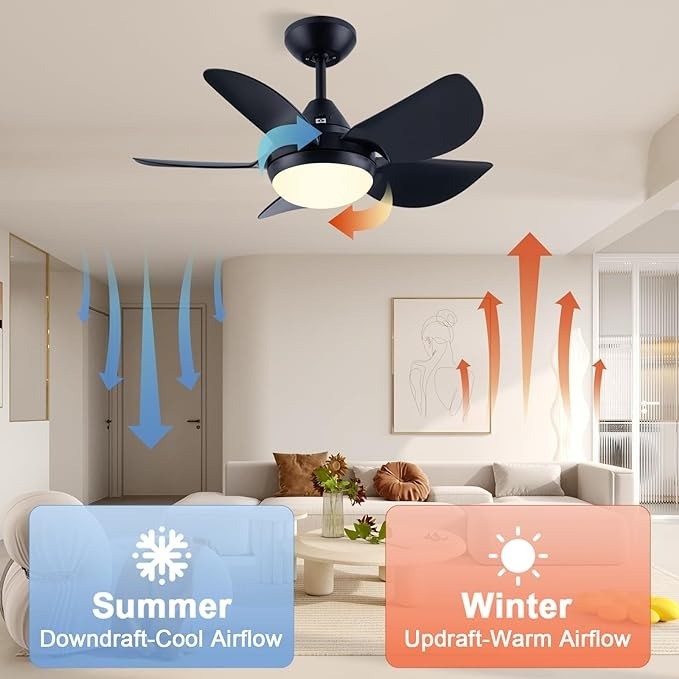 Newday 30 Inch Bedroom Ceiling Fan with Light and Remote Control, Small Black