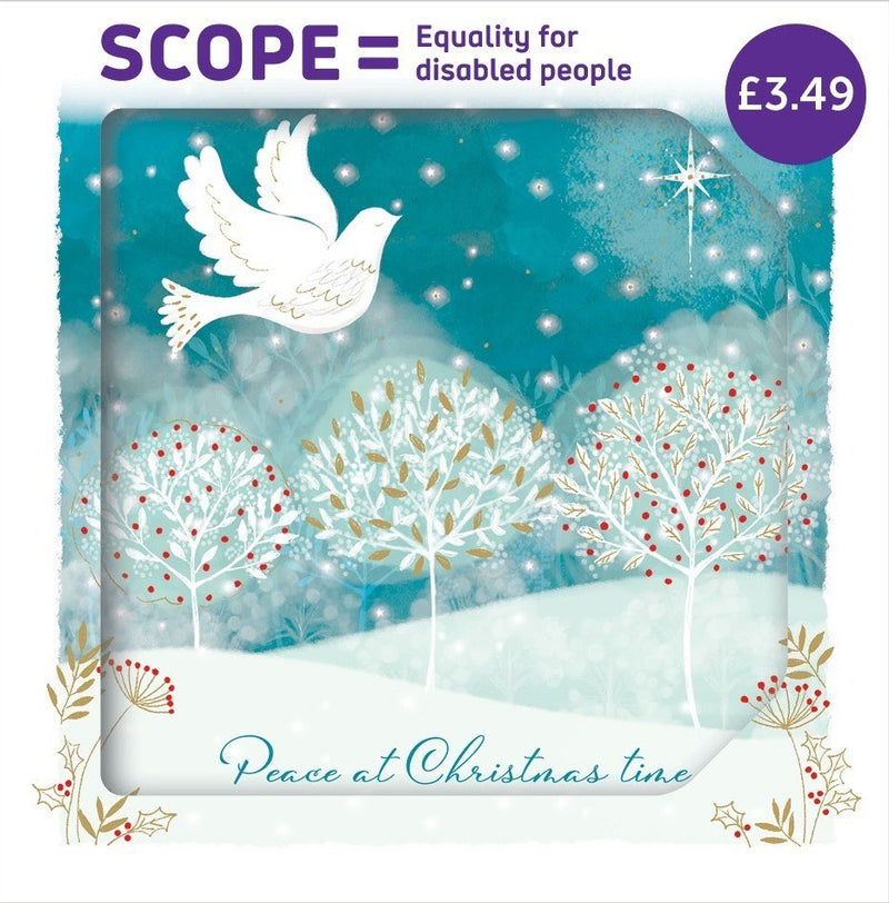 Charity Christmas Cards ‘Dove of Peace’ Exclusive Pack of 10 Xmas Cards Set