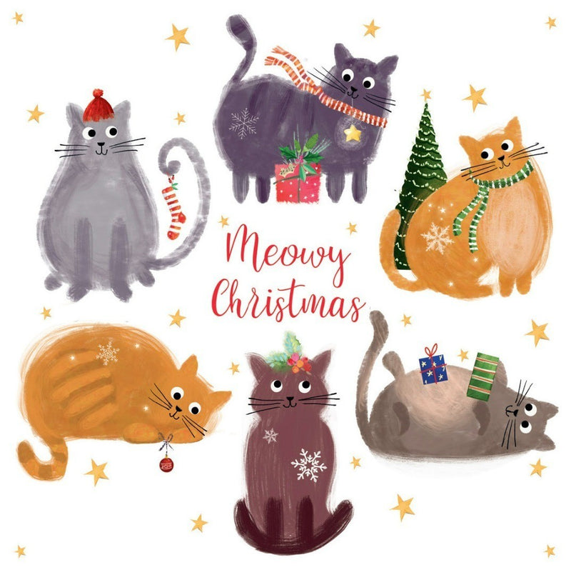 Charity Christmas Cards ‘Festive Felines’ Exclusive Pack of 10 Xmas Cards Set