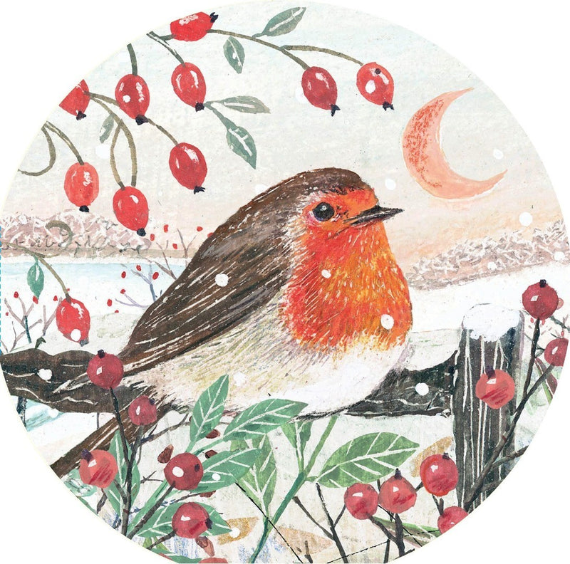 Charity Christmas Cards ‘Christmas Robin’ Exclusive Pack of 10 Xmas Cards Set