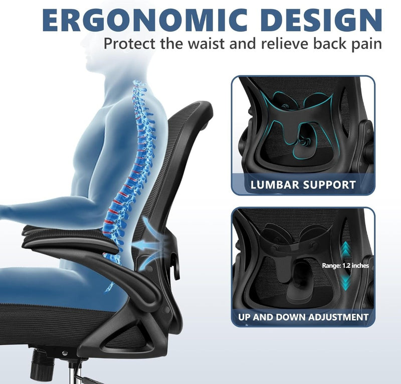 Winrise Ergonomic Office Chair Black