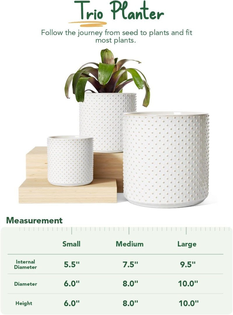 Ceramic Plant Pots with Drainage Hole Set of 3