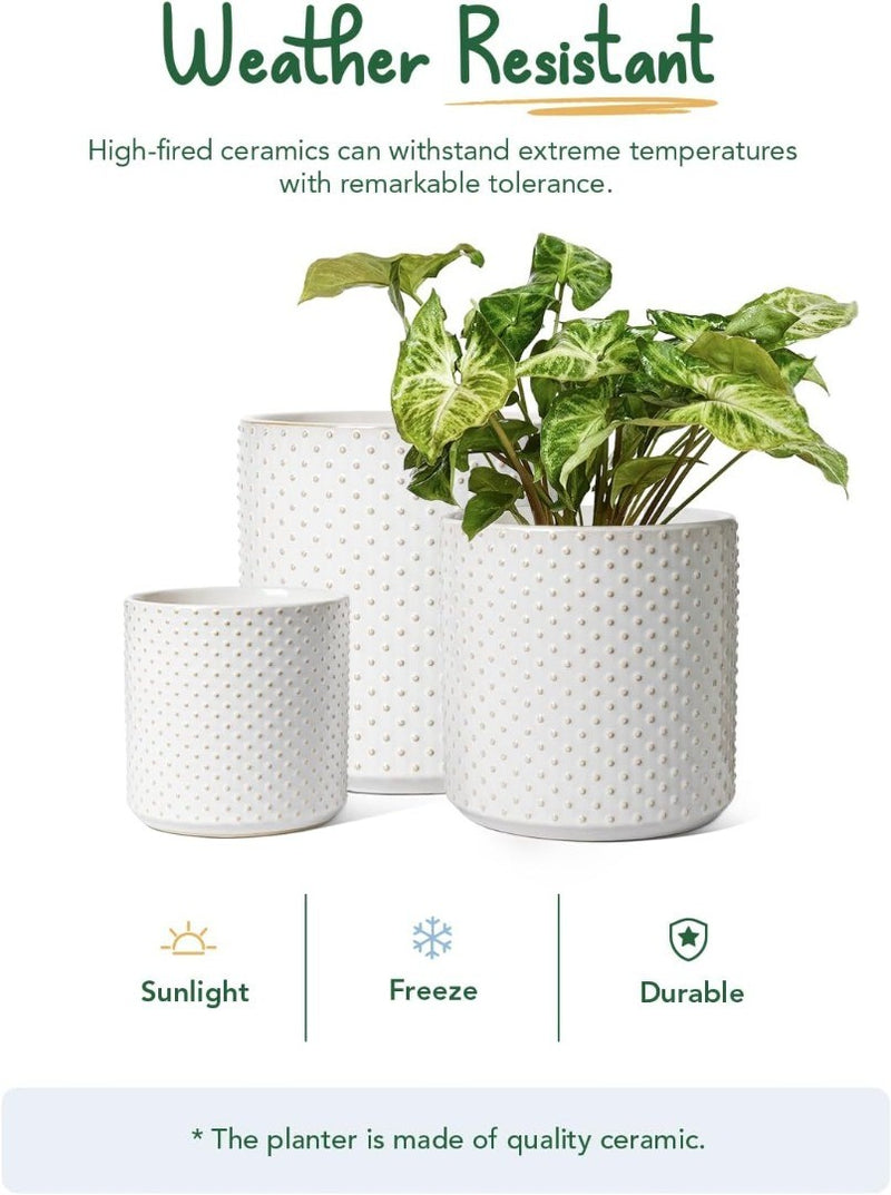 Ceramic Plant Pots with Drainage Hole Set of 3