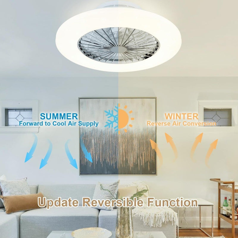 Ceiling Fan with Led Lights, 20'' Modern Ceiling Fan with Remote Control