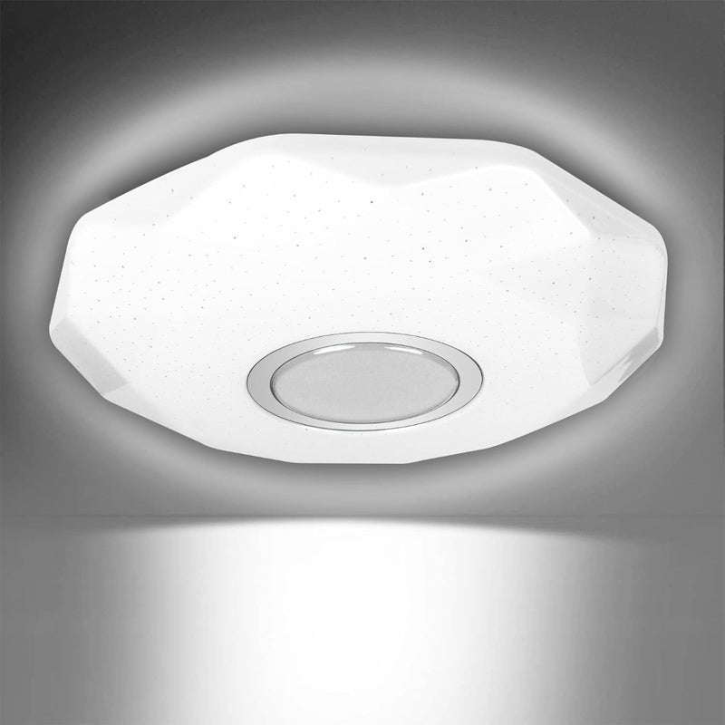 Ceiling Light LED 24W 2 Pack 39cm