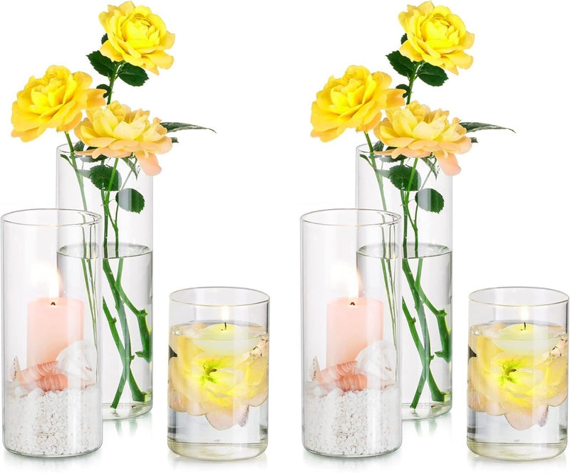 Hewory Glass Cylinder Vases Set of 6