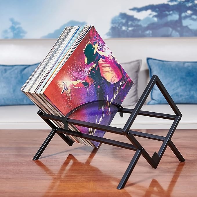 Vinyl Record Storage Holder 12 inches Display