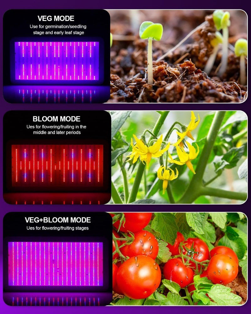 2000W LED Grow Light Full Spectrum with Samsung LM301B and UV LEDs KOSCHEAL