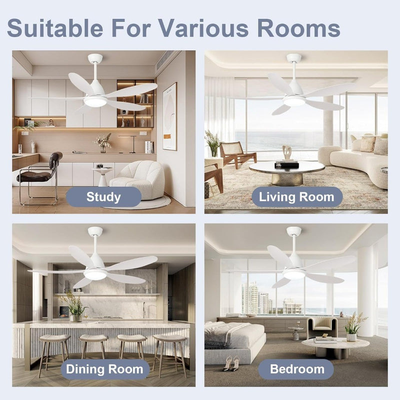 Ceiling Fans w/ Lights and Remote Control