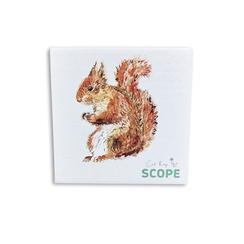 Woodland Animals Ceramic Coaster - Squirrel