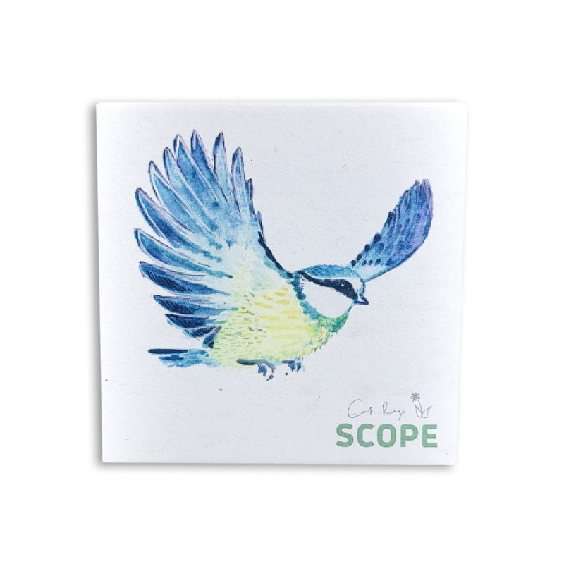 Woodland Animals Ceramic Coaster - Bluetit