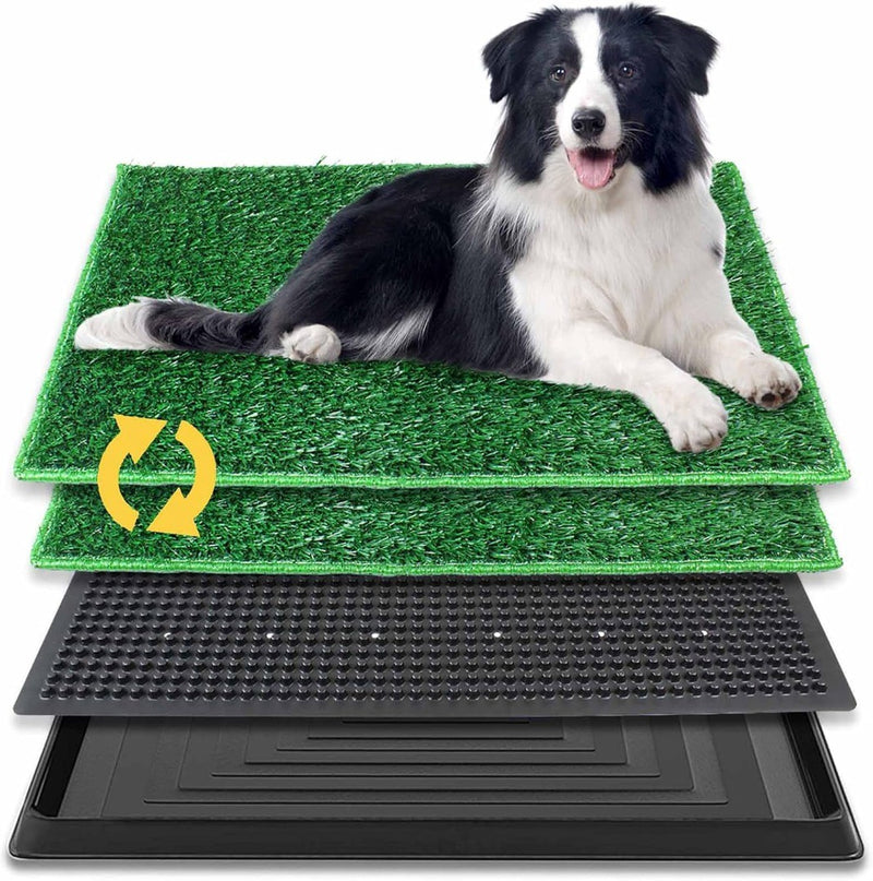 Puppy Pee Training Pad w/ Artificial Grass Mats