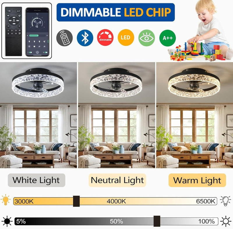 Quiet Ceiling Fans with Lights Remote Control, Modern Lighting Fan Ceiling Light