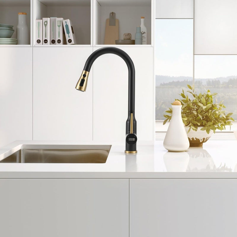 Kitchen Sink Tap Mixer Stainless Steel Black Gold