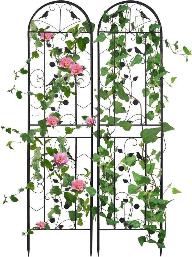 Garden Trellis for Climbing Plants: 2 Pack