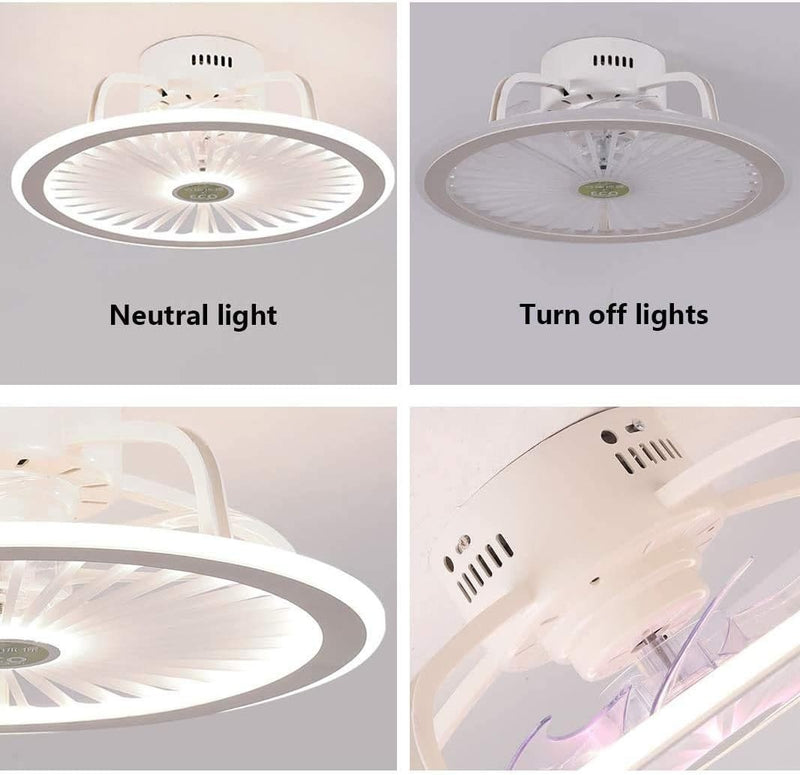 Modern Ceiling Fan Ceiling Light with LED Lighting