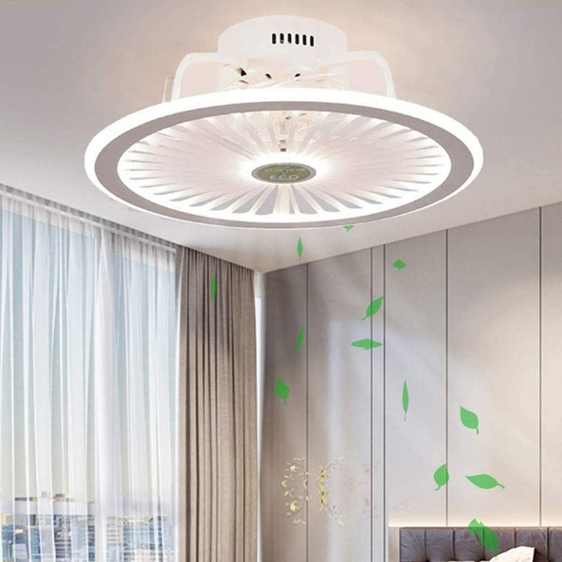 Modern Ceiling Fan Ceiling Light with LED Lighting