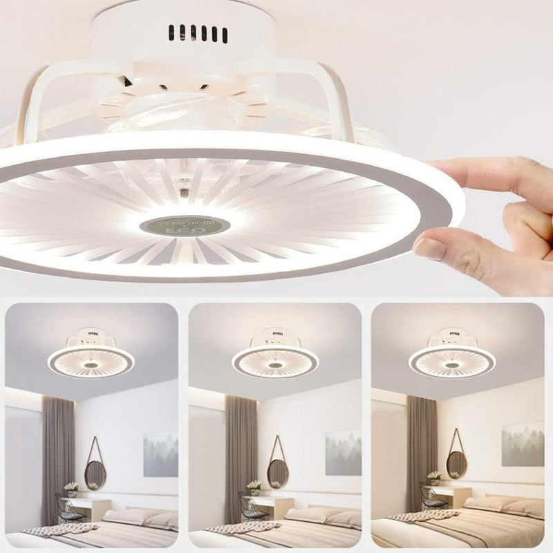 Modern Ceiling Fan Ceiling Light with LED Lighting