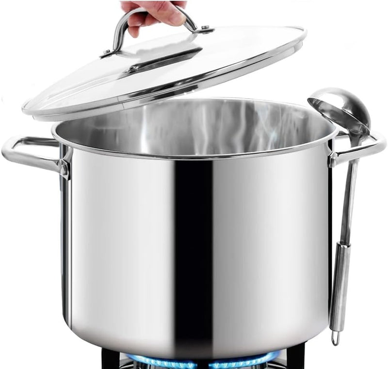 Stock Pot 11L with Lid Mirror Polished 29cm