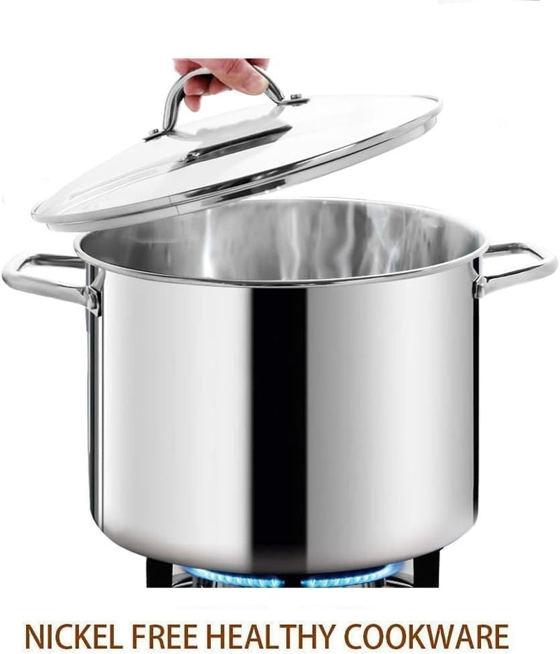 Stock Pot 11L with Lid Mirror Polished 29cm