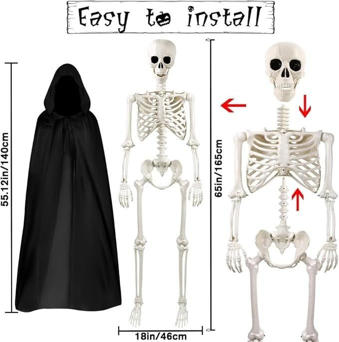 165 cm Halloween Movable Skeleton, Full Body Skeleton, Life-Size Skeleton