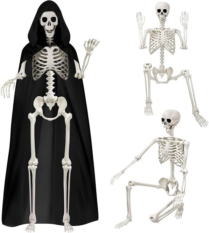 165 cm Halloween Movable Skeleton, Full Body Skeleton, Life-Size Skeleton