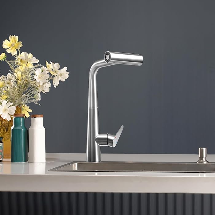 ECHVELCI Kitchen Tap with Pull Out Spray