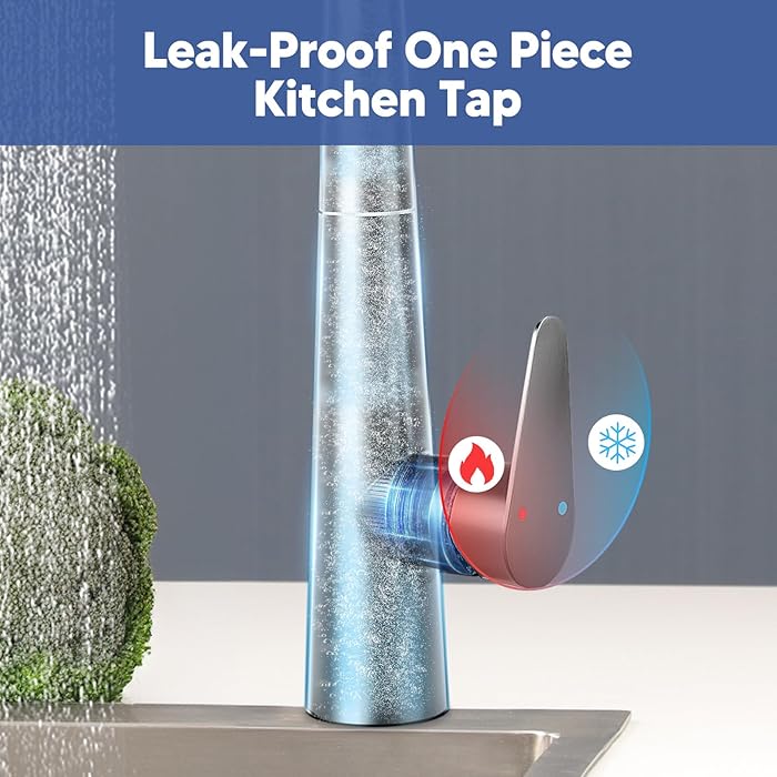 ECHVELCI Kitchen Tap with Pull Out Spray