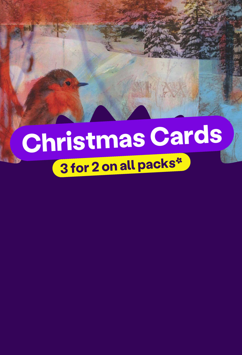 A dark purple banner with a painting of a robin on a snowy field. The text reads: "Christmas Cards, 3 for 2 on all packs".