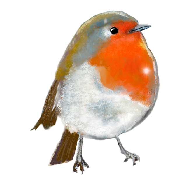 A painting of a red-breasted robin.