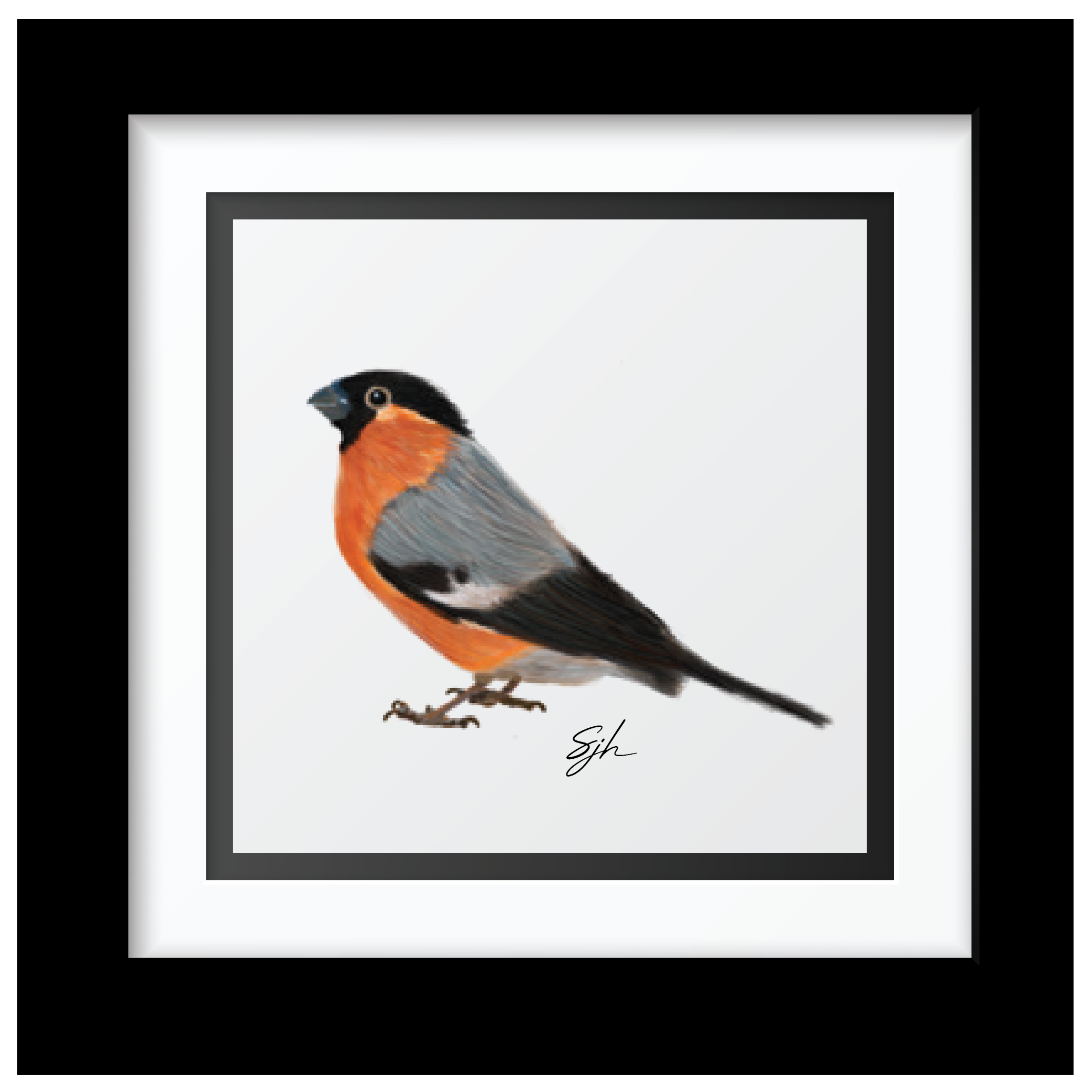 Sammy's Bullfinch Art Print