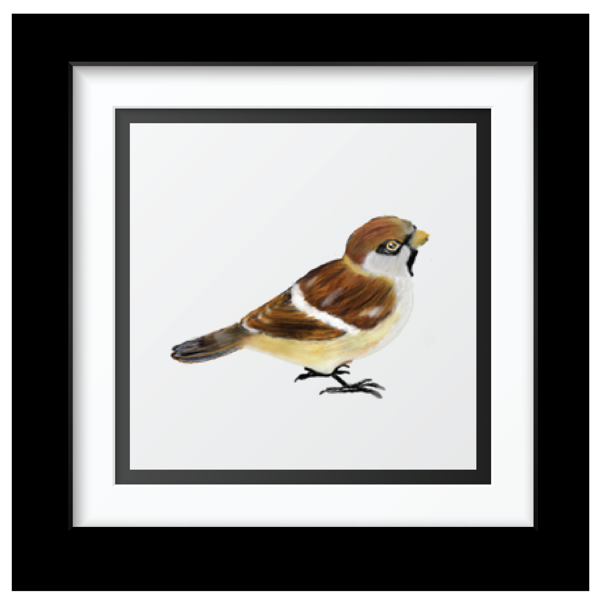 Sammy's sparrow Art Print