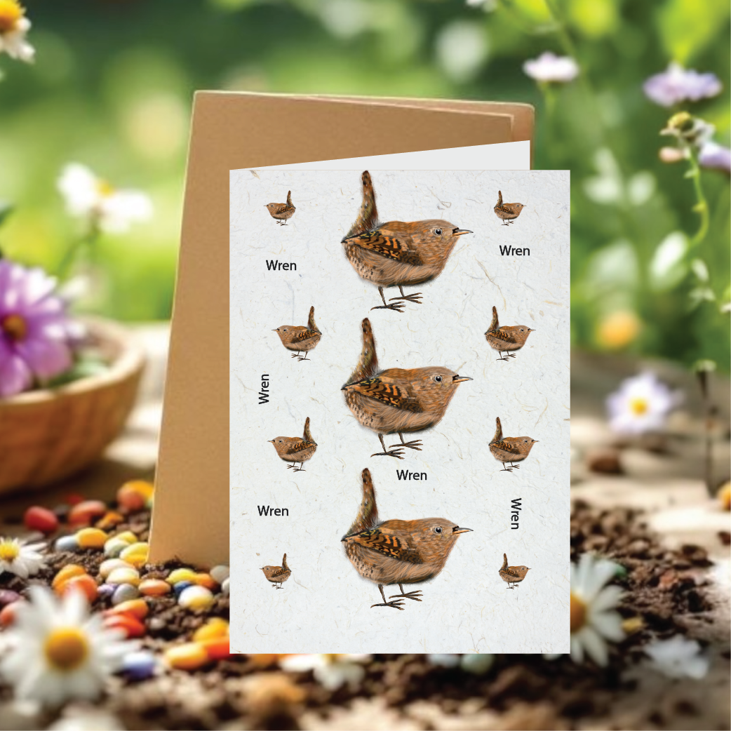 Sammy's Wren Seed Card